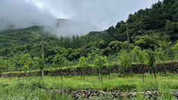 到祖國(guó)和人民最需要的地方發(fā)光發(fā)熱