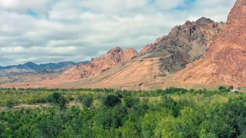 那個(gè)帶火了邊疆村的姑娘