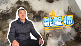 三工視頻·新360行之挑蟹師｜螃蟹“選美”裁判長(zhǎng)
